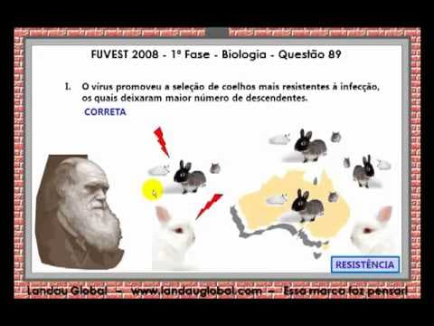 Thumbnail da aula: USP_2008_BIO_P1_Q89