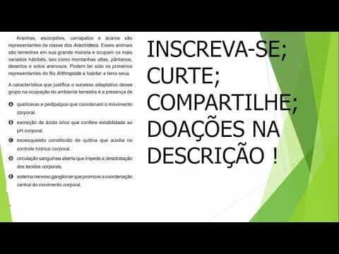 Thumbnail da aula: BIOLOGIA ENEM 2020 Aranhas, escorpiões, carrapatos