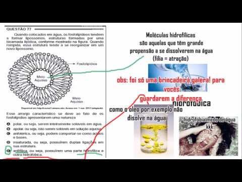 Thumbnail da aula: Enem 2012 - Resolução de biologia questão 77-(Enem 2012-prova amarela primeira aplicação) education