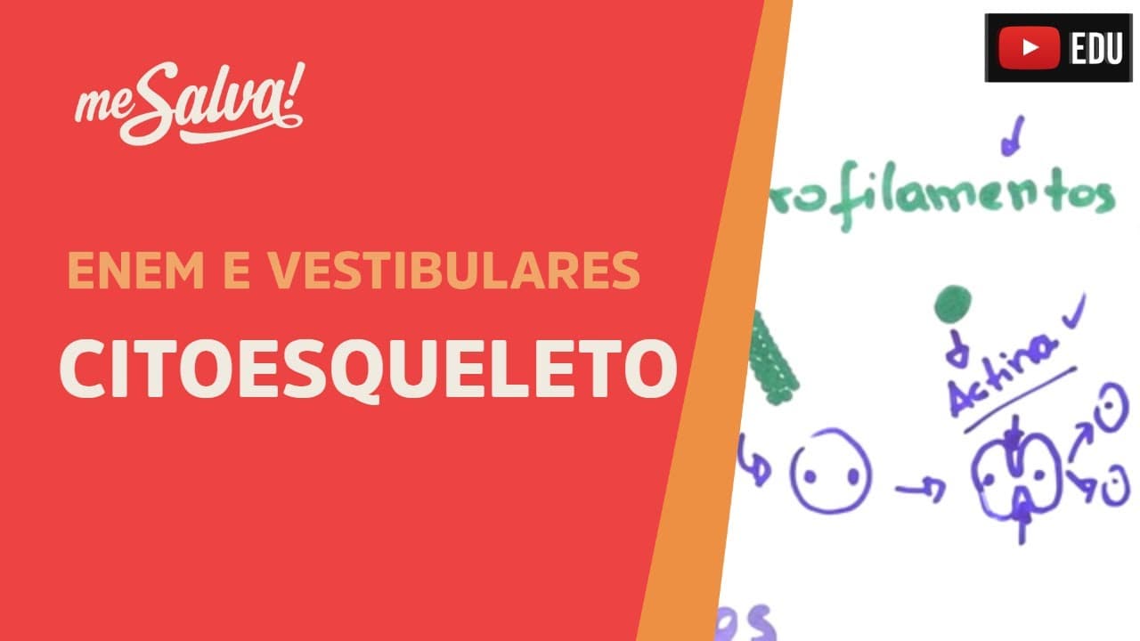 Thumbnail: Me Salva! CIT22 - Citologia - Organelas citoplasmáticas 5 - Citoesqueleto