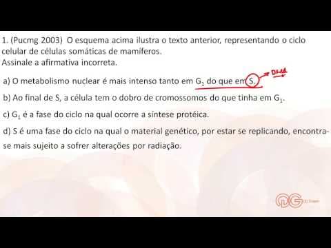 Thumbnail da aula: Biologia: Divisão Celular - ENEM