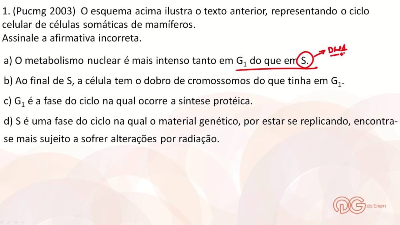 Thumbnail: Biologia: Divisão Celular - ENEM