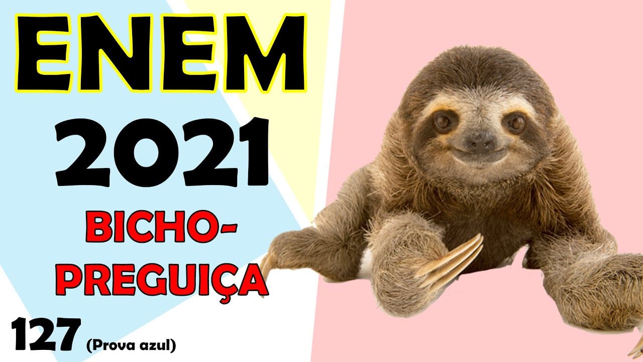 Thumbnail: (ENEM – 2021) Estudo aponta que a extinção de preguiças gigantes, cuja base da dieta eram