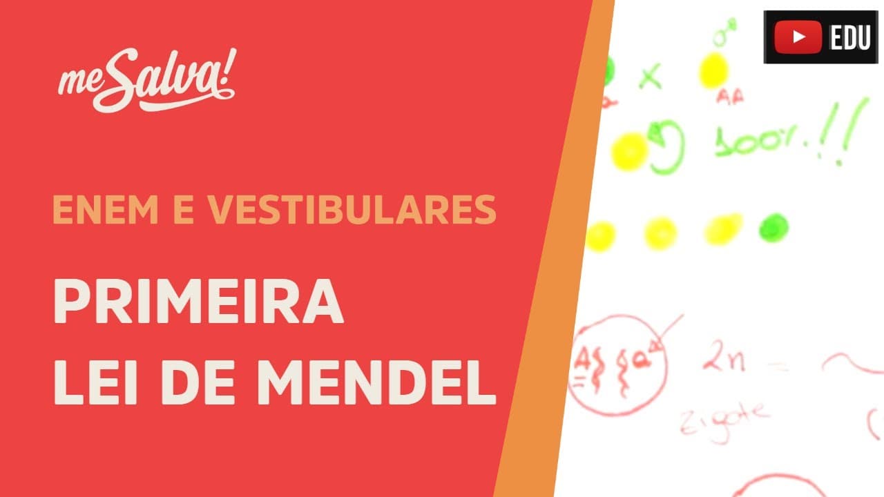 Thumbnail: Me Salva! GEN08 - Genética - Primeira Lei de Mendel