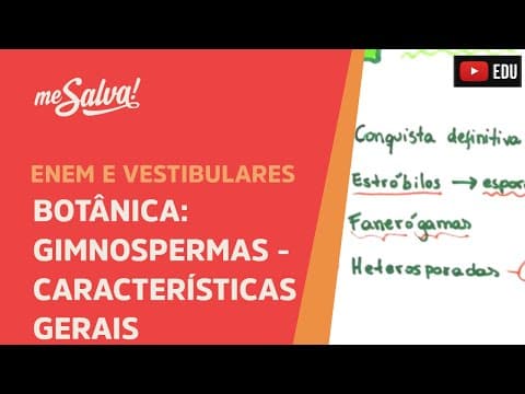 Thumbnail da aula: Me Salva! BOT07 - Botânica - Gimnospermas: Características gerais