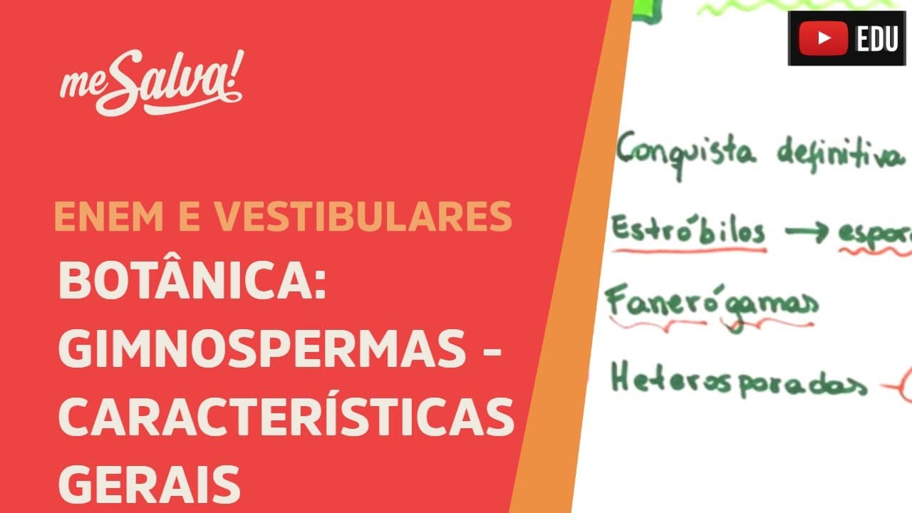 Thumbnail: Me Salva! BOT07 - Botânica - Gimnospermas: Características gerais