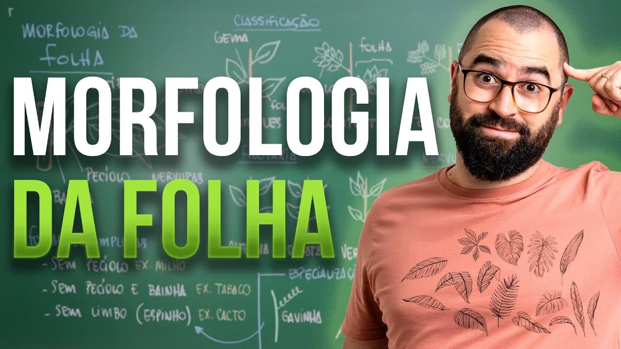 Thumbnail: Morfologia da Folha - Aula 17 - Módulo 5: Botânica