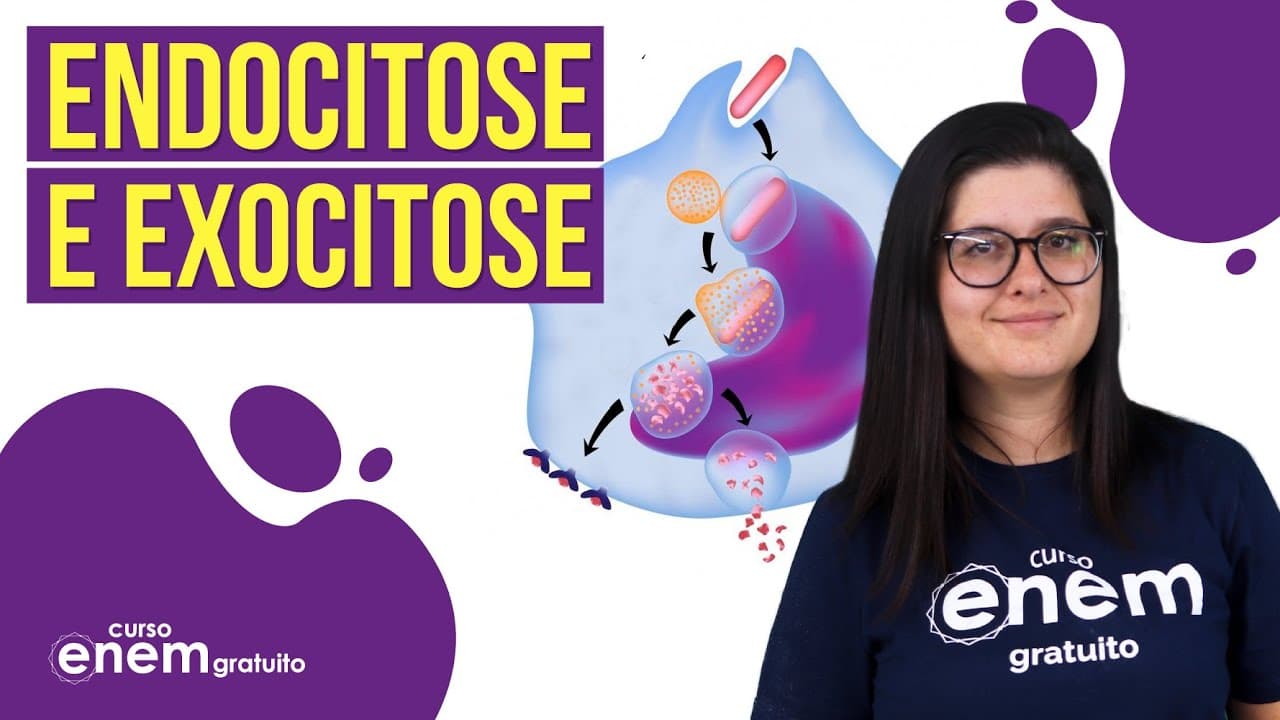 Thumbnail: ENDOCITOSE (FAGOCITOSE E PINOCITOSE) E EXOCITOSE | Resumo de Biologia para o Enem