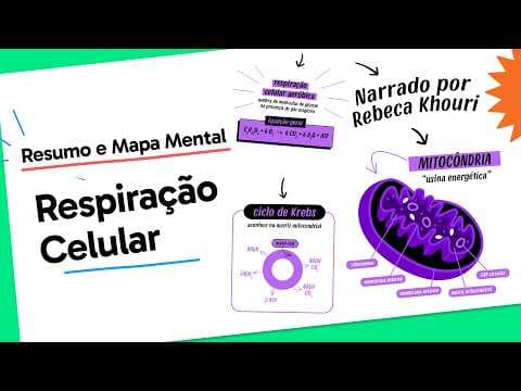 Thumbnail da aula: Respiração Celular | Biologia | Quer Que Desenhe?