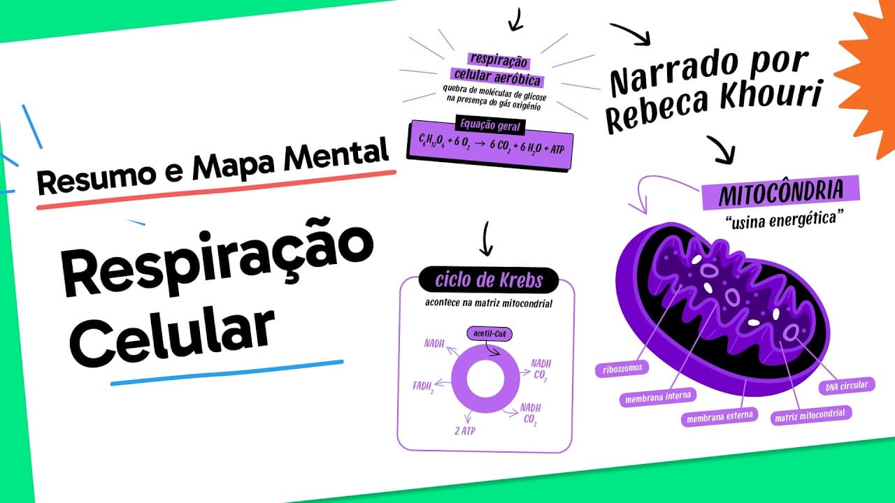 Thumbnail: Respiração Celular | Biologia | Quer Que Desenhe?