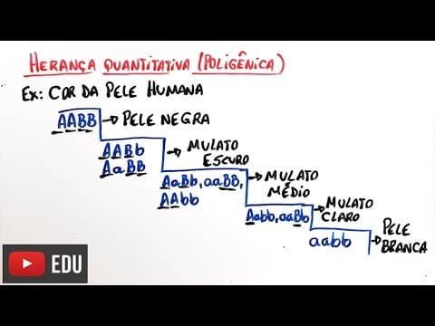 Thumbnail da aula: Herança quantitativa - Interação gênica