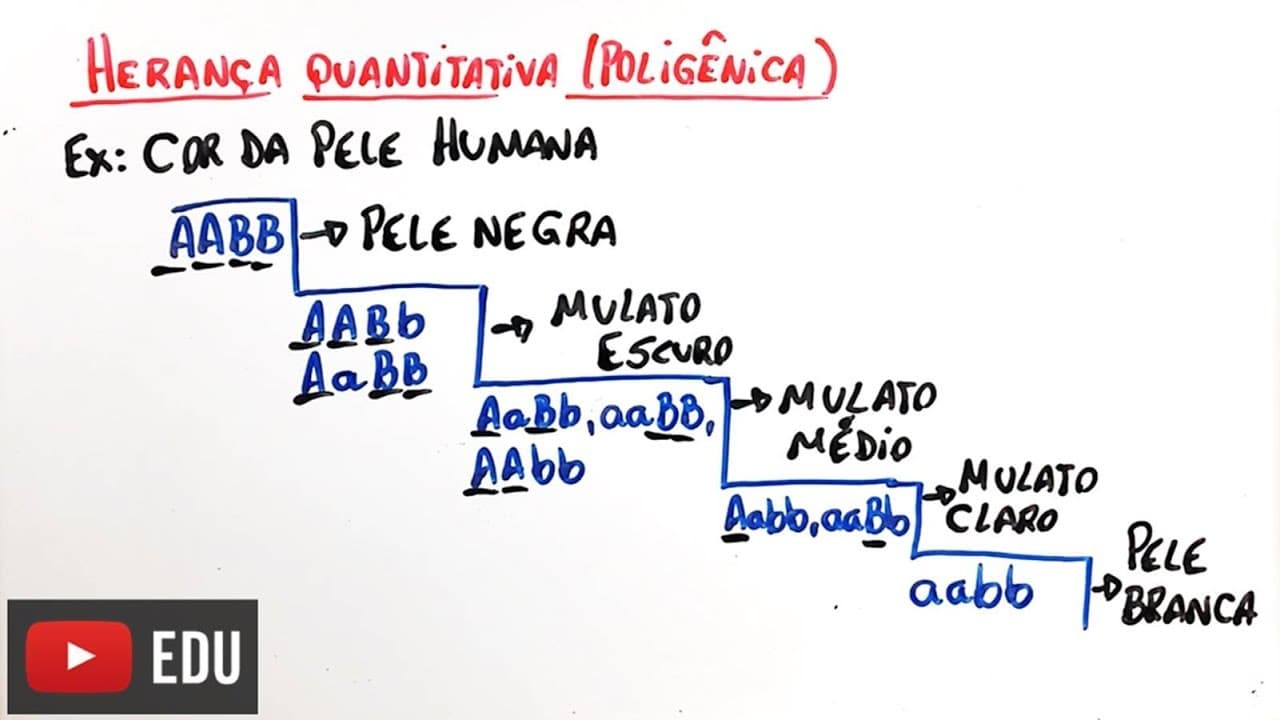 Thumbnail: Herança quantitativa - Interação gênica