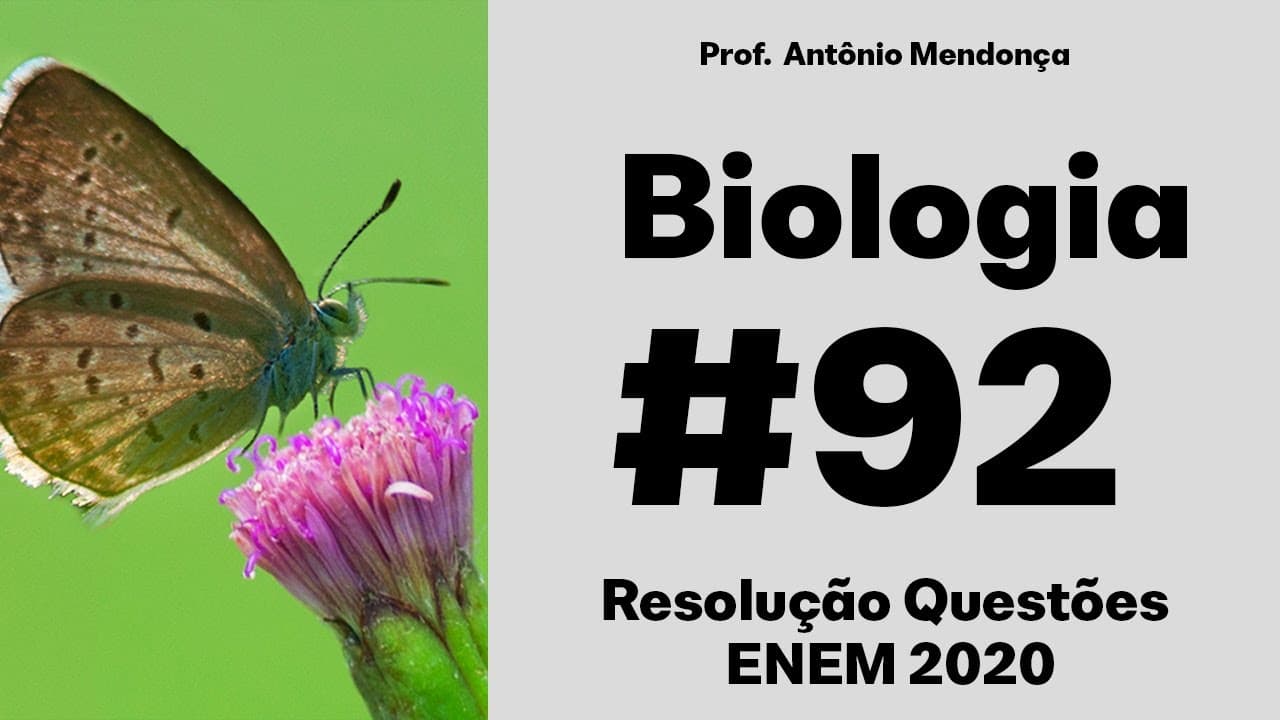Thumbnail: ENEM 2020 - A enorme quantidade de resíduos gerados pelo consumo crescente da sociedade traz...