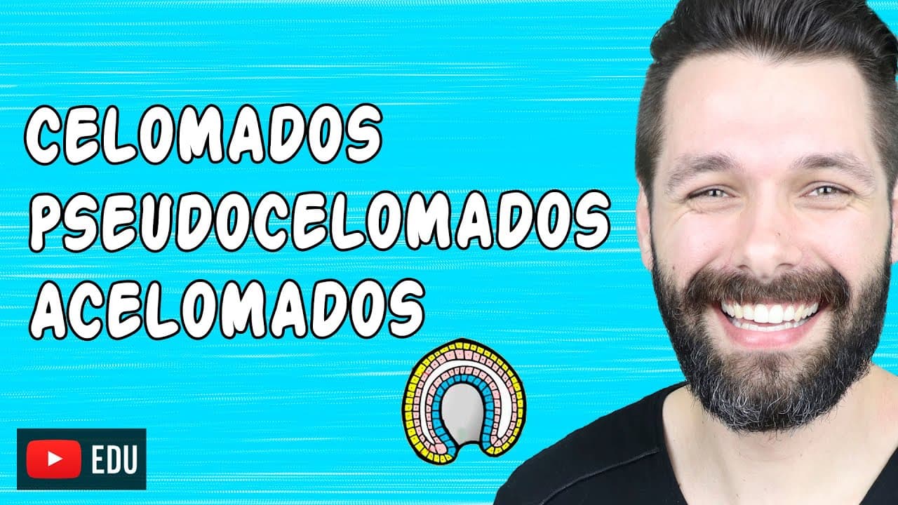 Thumbnail: CELOMADOS, PSEUDOCELOMADOS E ACELOMADOS - CONCEITOS EM EMBRIOLOGIA | Biologia com Samuel Cunha