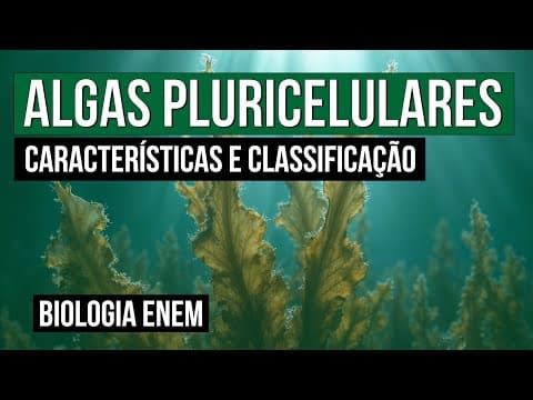 Thumbnail da aula: ALGAS PLURICELULARES: características e classificação | Biologia para o Enem | Cláudia Souza Aguiar