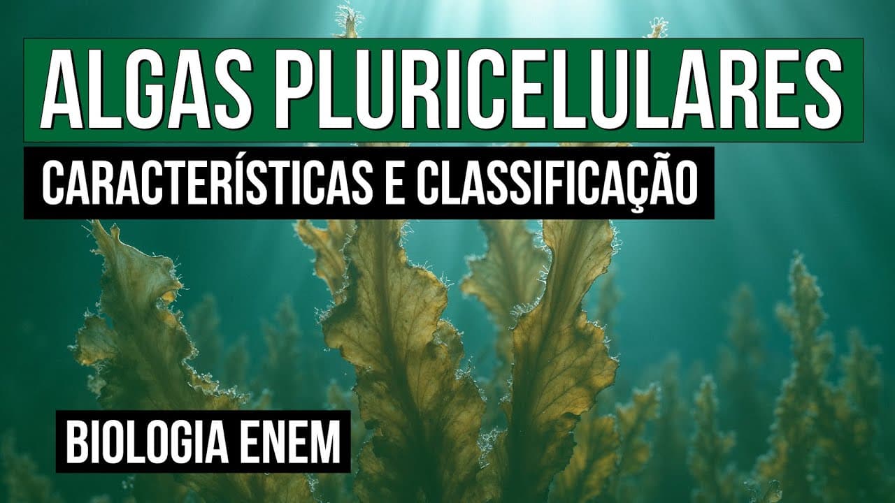 Thumbnail: ALGAS PLURICELULARES: características e classificação | Biologia para o Enem | Cláudia Souza Aguiar