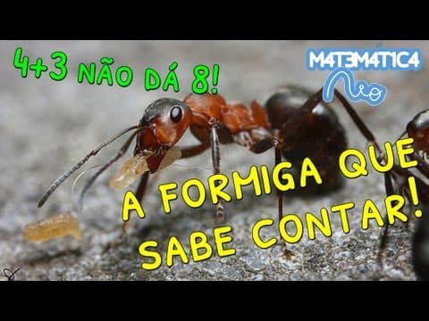 Thumbnail da aula: Matemática na Biologia - Formiga que Sabe Somar e Subtrair | Matemática Rio