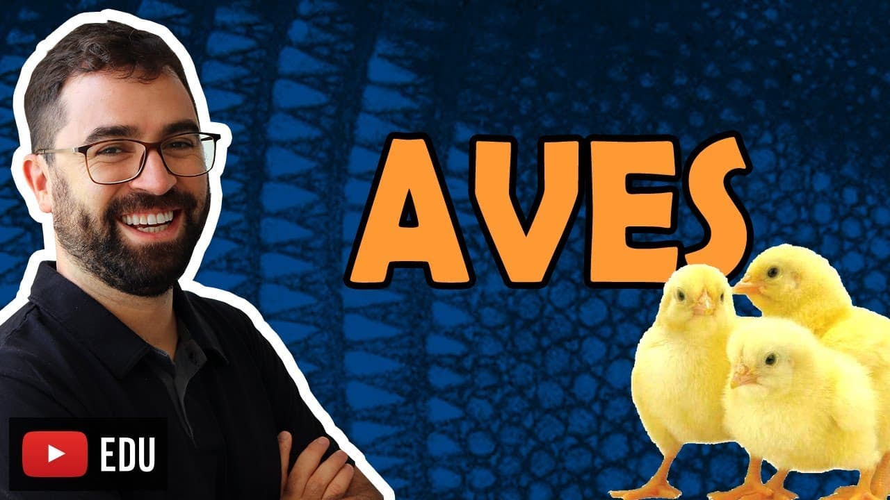 Thumbnail: Aves - Aula 32 - Módulo VI: Zoologia | Prof. Gui