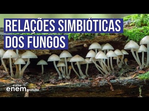 Thumbnail da aula: RELAÇÕES SIMBIÓTICAS DOS FUNGOS | Biologia para o Enem | Cláudia de Souza Aguiar