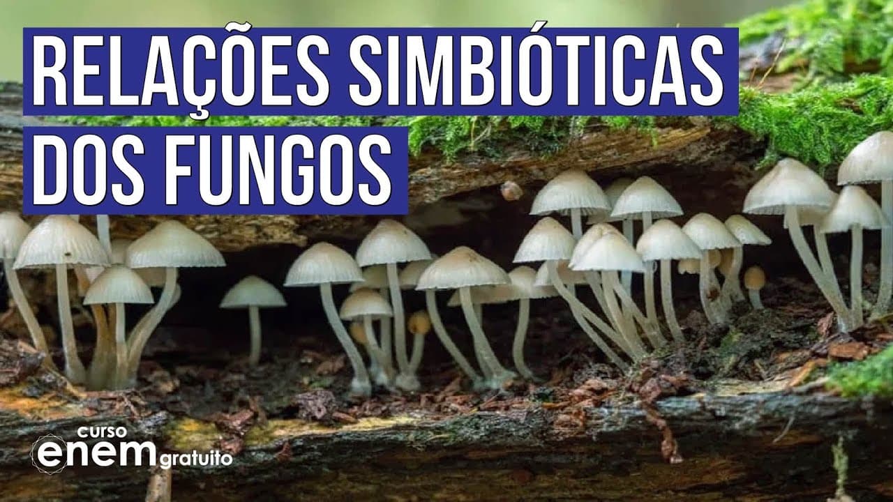 Thumbnail: RELAÇÕES SIMBIÓTICAS DOS FUNGOS | Biologia para o Enem | Cláudia de Souza Aguiar