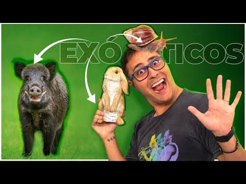 Thumbnail da aula: ESPÉCIES EXÓTICAS | Prof. Paulo Jubilut
