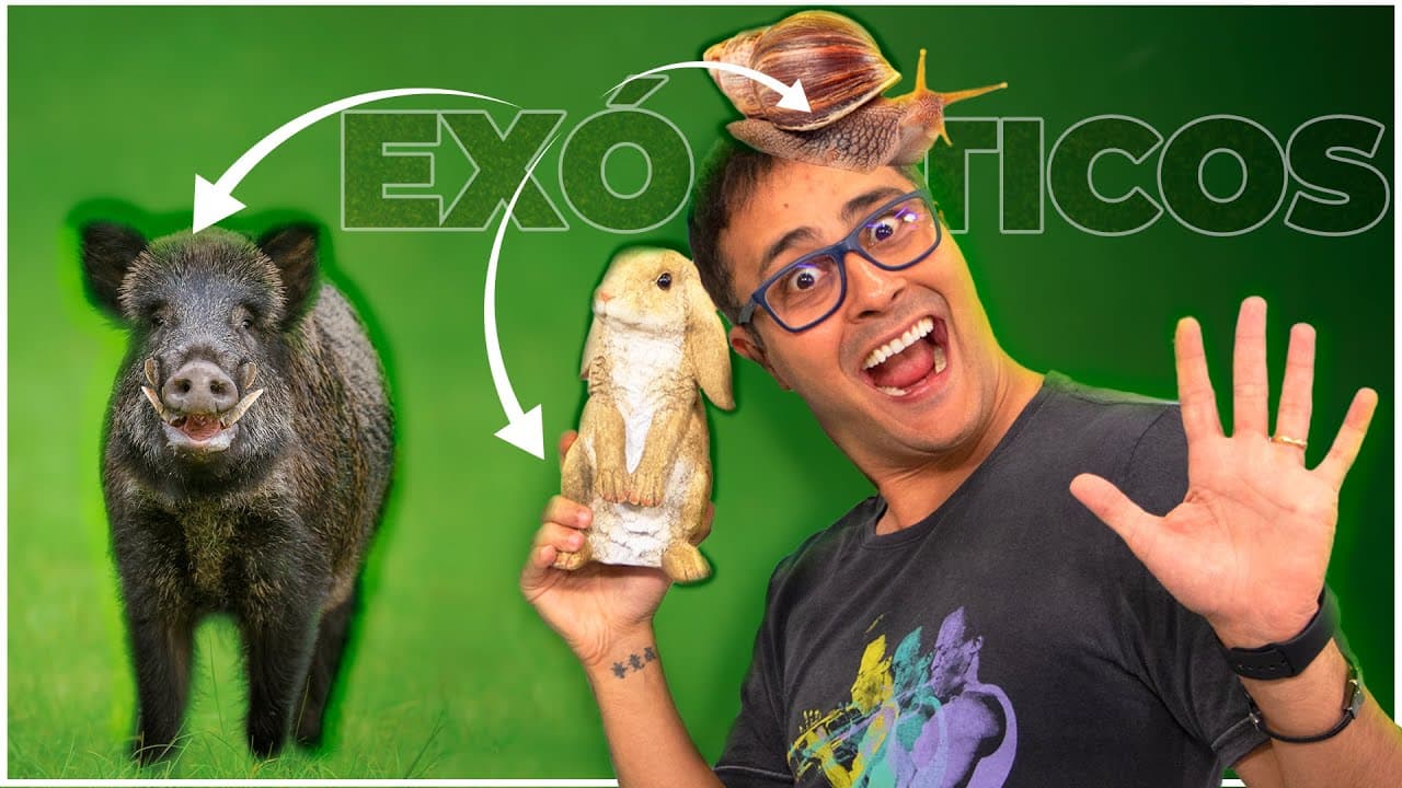 Thumbnail: ESPÉCIES EXÓTICAS | Prof. Paulo Jubilut