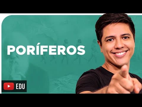 Thumbnail da aula: PORÍFEROS - ZOOLOGIA - REINO ANIMALIA - Prof. Kennedy Ramos