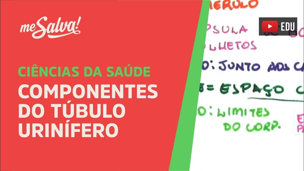 Thumbnail: Me Salva! SURI02 - Componentes do Túbulo Urinífero (Parte I) - Histologia Humana
