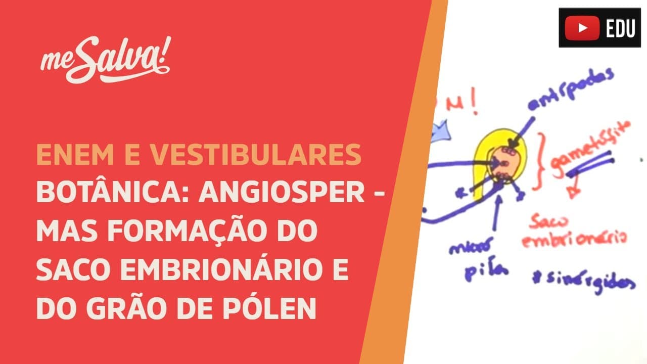 Thumbnail: Me Salva! BOT10 - Botânica - Angiospermas: Formação do saco embrionário e do grão de pólen