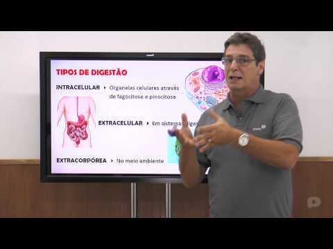 Thumbnail da aula: Biologia - Sistema Digestório - Nutrição
