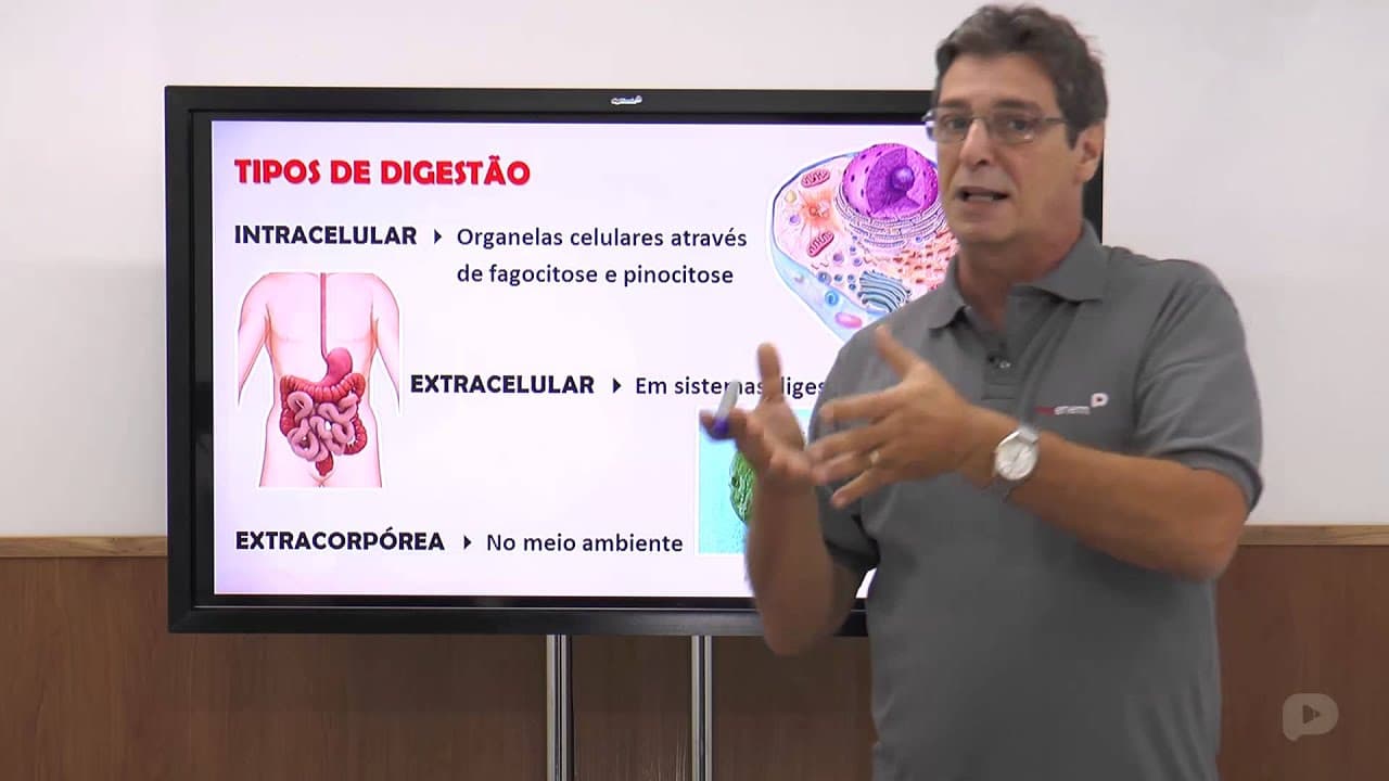 Thumbnail: Biologia - Sistema Digestório - Nutrição