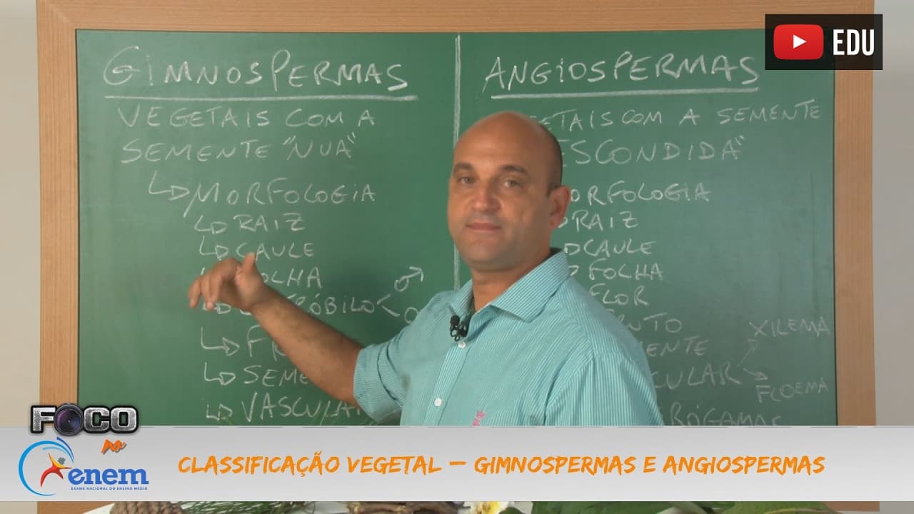 Thumbnail: Videoaulas Poliedro | Enem | Gimnosperma e Angiosperma