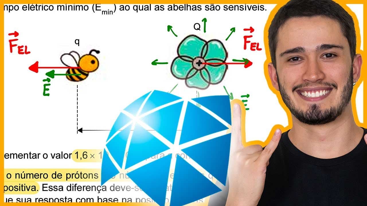 Thumbnail: UNESP 2024 - Devido ao atrito com o ar, insetos voadores podem acumular uma pequena quantidade de ca