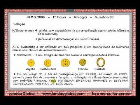 Thumbnail da aula: UFMG_2009_BIO_P1_Q03