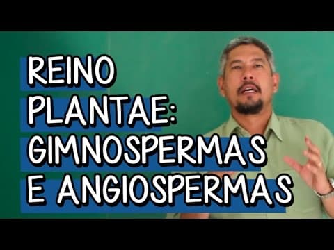 Thumbnail da aula: Reino Animalia 2: dos Moluscos aos Equinodermos - Extensivo Biologia | Descomplica
