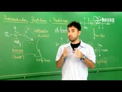 Thumbnail da aula: Aminoácidos, Peptídeos e Proteínas | Funções Nitrogenadas