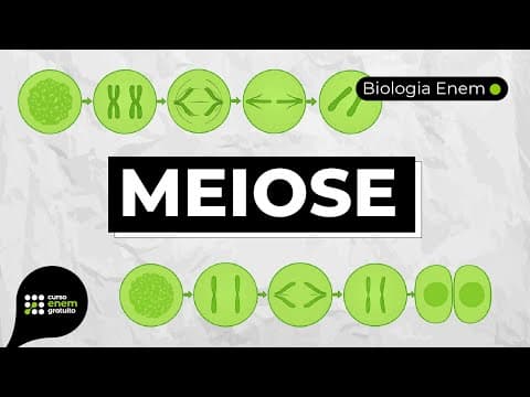 Thumbnail da aula: MEIOSE | Resumo de Biologia para o Enem
