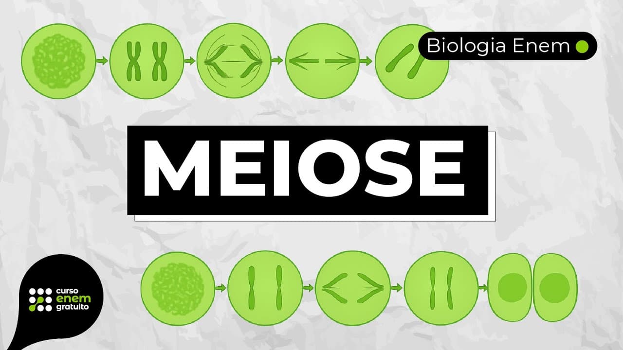 Thumbnail: MEIOSE | Resumo de Biologia para o Enem