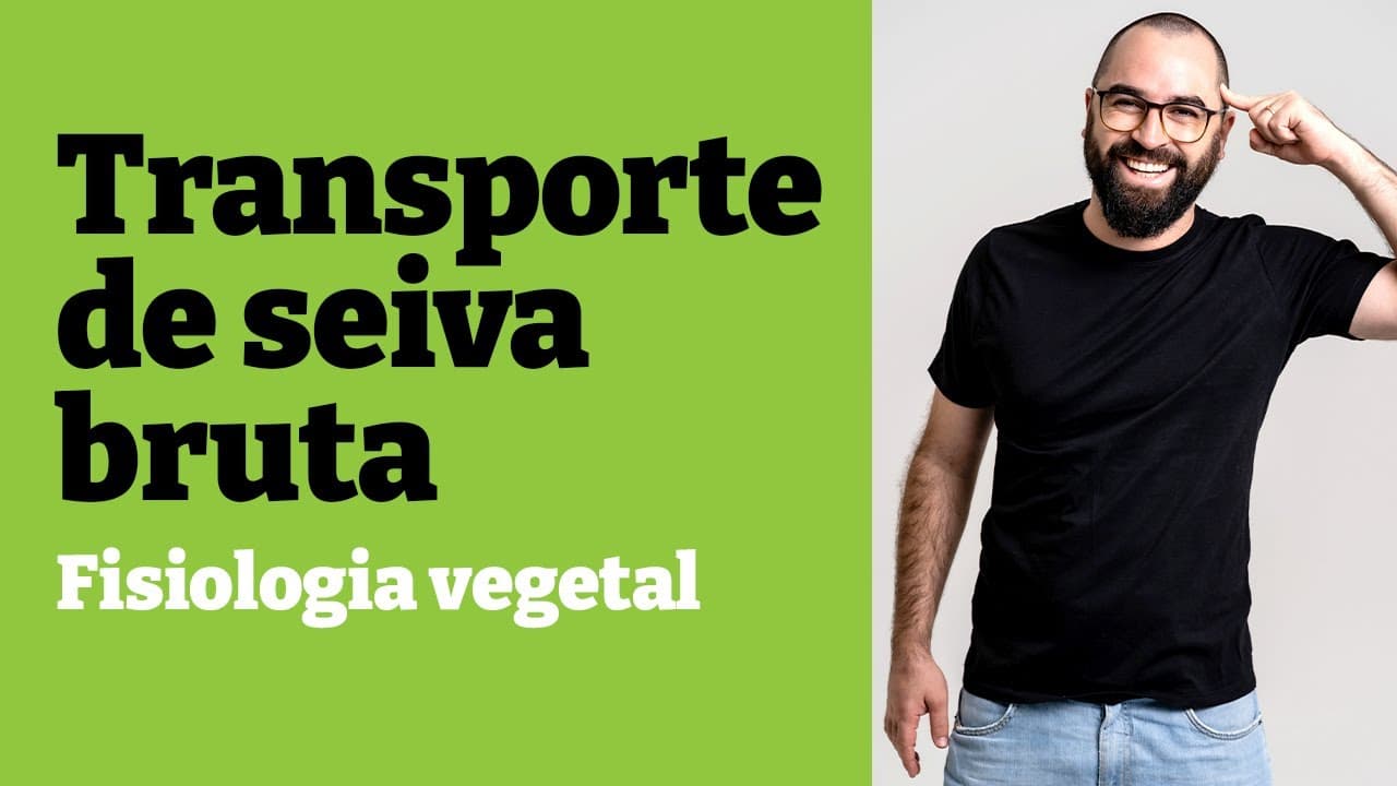 Thumbnail: Transporte de seiva bruta [SIMPLES!] | Fisiologia vegetal - Aula 24 - Botânica | Prof. Gui