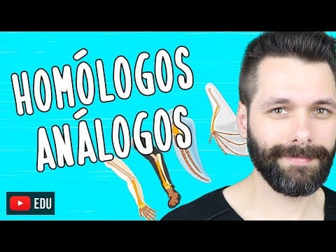 Thumbnail da aula: ÓRGÃOS HOMÓLOGOS E ANÁLOGOS - Evolução | Biologia com Samuel Cunha