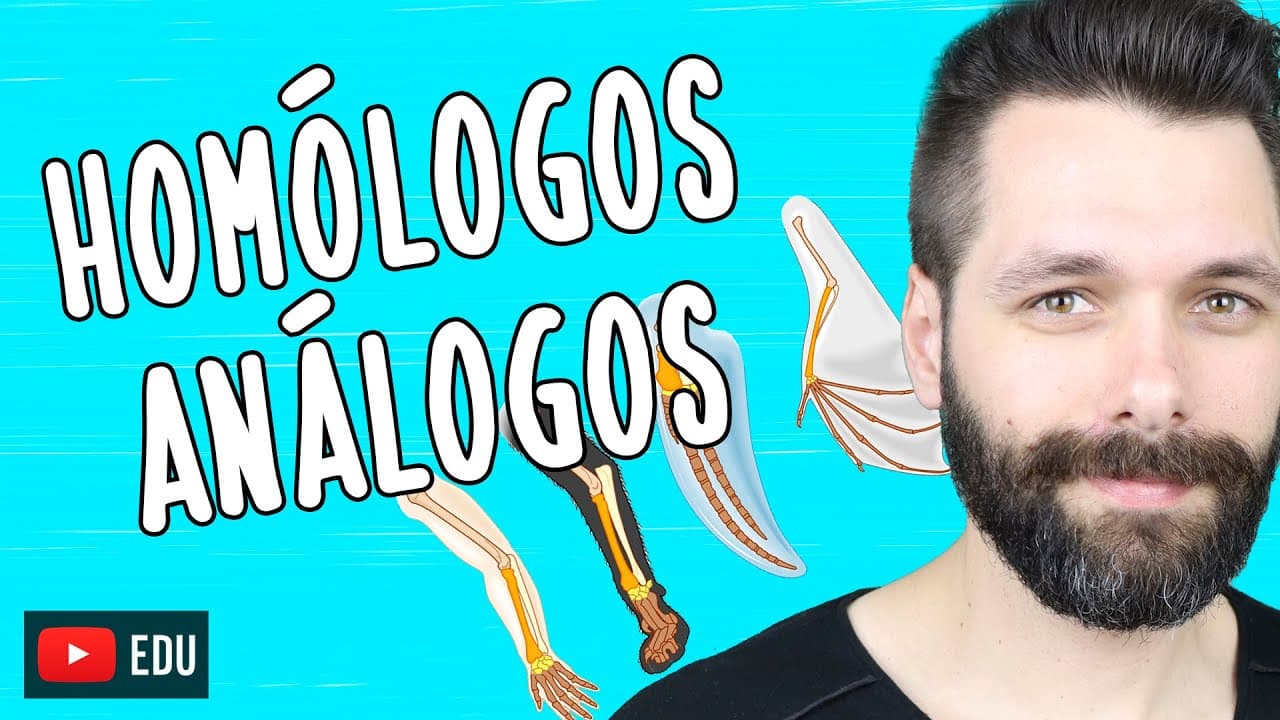 Thumbnail: ÓRGÃOS HOMÓLOGOS E ANÁLOGOS - Evolução | Biologia com Samuel Cunha