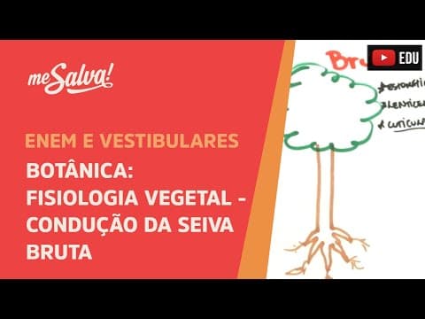 Thumbnail da aula: Me Salva! BOT25 - Botânica - Fisiologia vegetal: condução da seiva bruta (tensão, coesão, adesão)