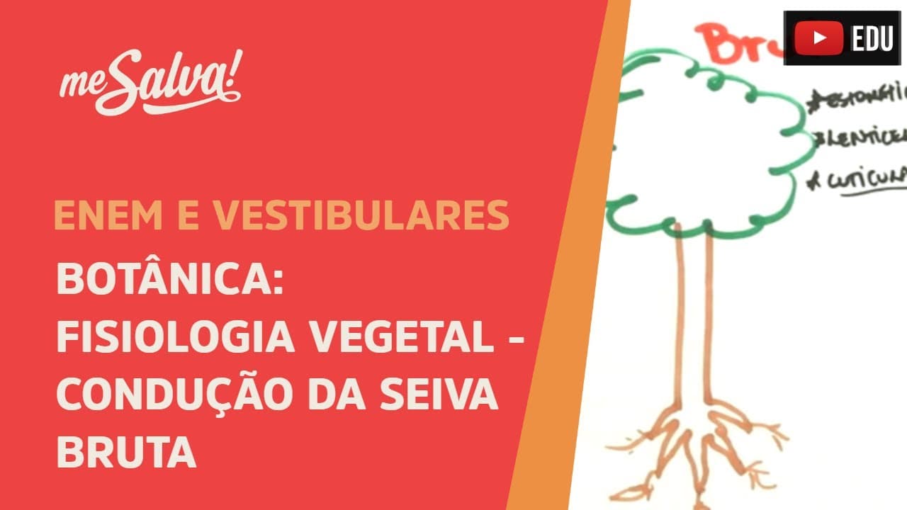 Thumbnail: Me Salva! BOT25 - Botânica - Fisiologia vegetal: condução da seiva bruta (tensão, coesão, adesão)