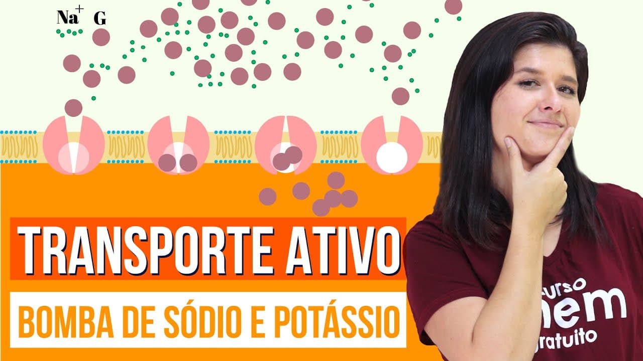 Thumbnail: BOMBA DE SÓDIO E POTÁSSIO (TRANSPORTE ATIVO) | Resumo de Biologia para o Enem