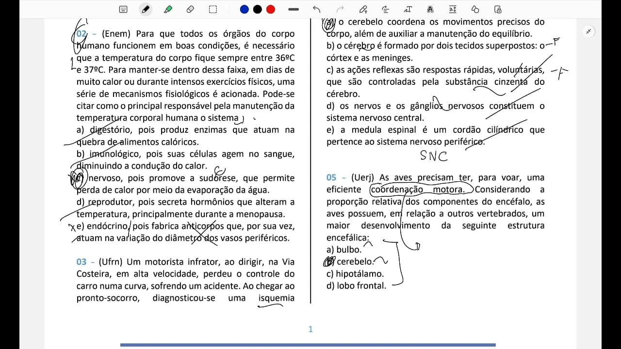 Thumbnail: Resolução comentada | Uerj | biologia | sistema nervoso