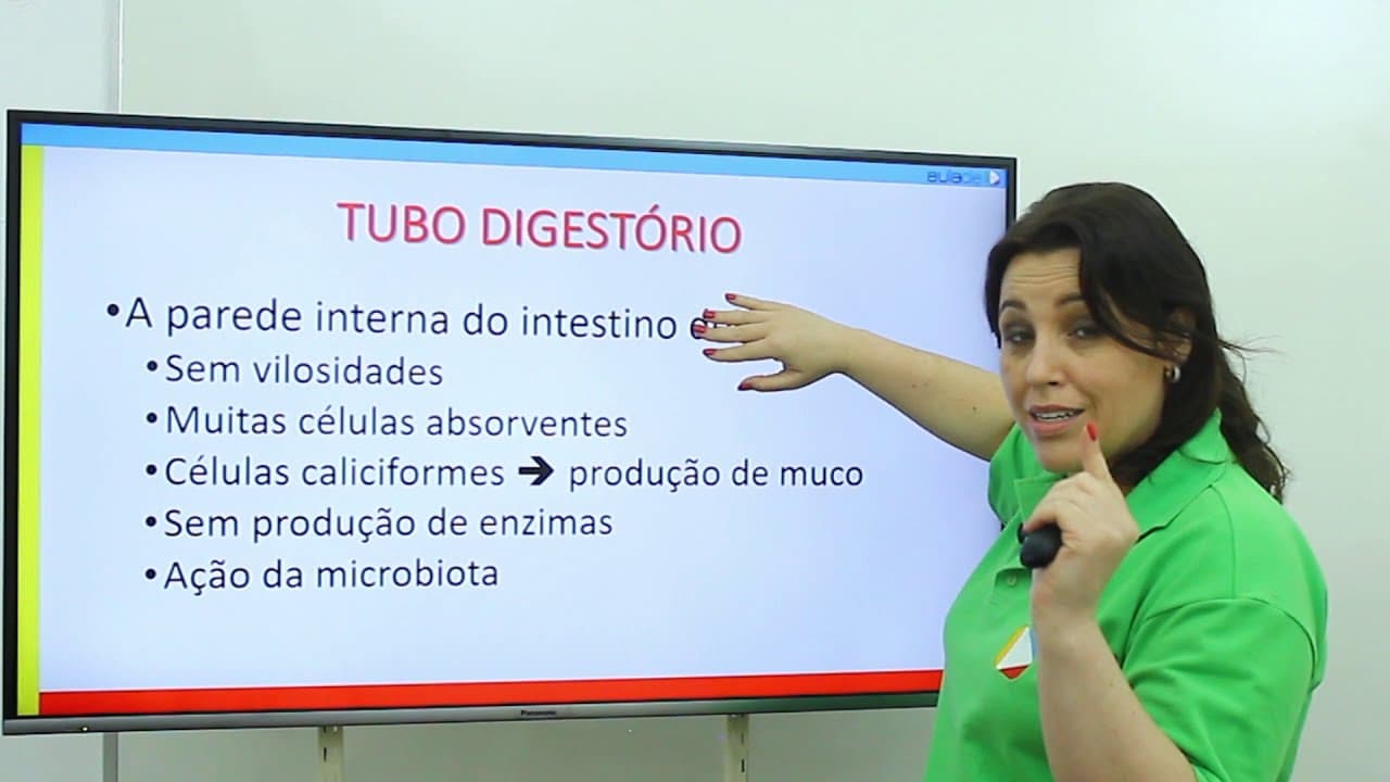 Thumbnail: Biologia - Sistema Digestório: Jejuno, Íleo e Intestino Grosso