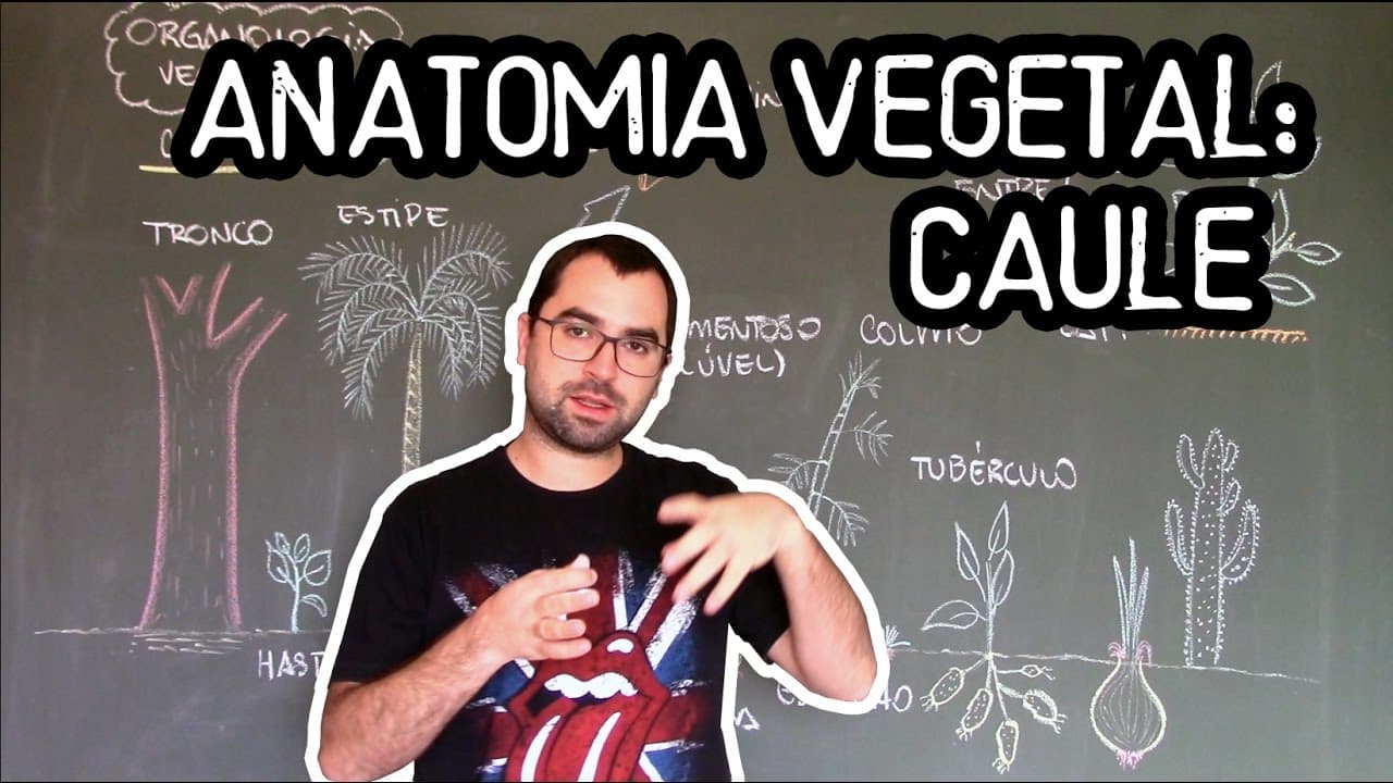 Thumbnail: Organologia do Caule (Anatomia) - Aula 16: Botânica (Prof. Guilherme)