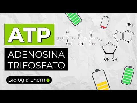 Thumbnail da aula: ATP (ADENOSINA TRIFOSFATO) - A MOEDA ENERGÉTICA DAS CÉLULAS | Biologia Enem. Profa Juliana Evelyn