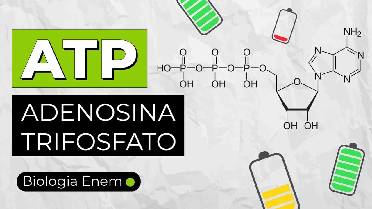 Thumbnail: ATP (ADENOSINA TRIFOSFATO) - A MOEDA ENERGÉTICA DAS CÉLULAS | Biologia Enem. Profa Juliana Evelyn