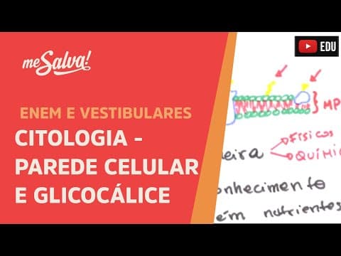 Thumbnail da aula: Me Salva! CIT13 - Citologia - Parede celular e glicocálice